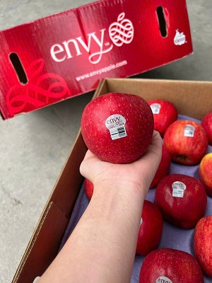 Táo Envy Mỹ size 100